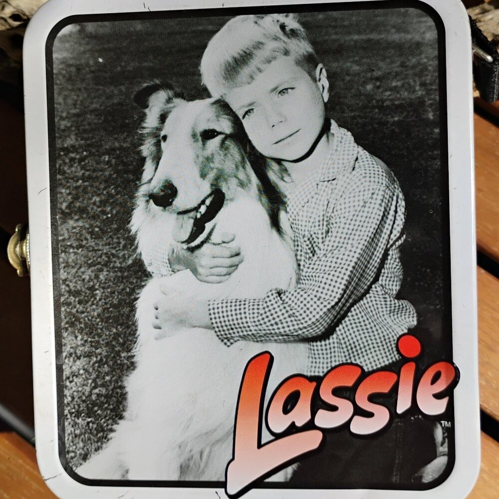 Lassie Timmy mini lunchbox vintage metal 1999 Series #1  5.5x5x.2.5" Used